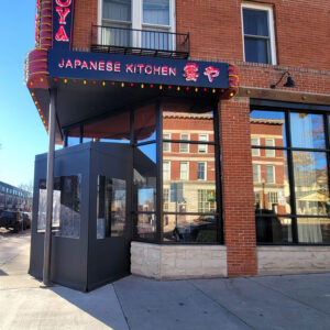 Commercial Removable Vestibles 13